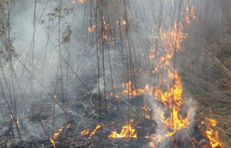 Ilustracija članka: Općina Posušje zatražila pomoć OS BiH u gašenju požara na Čvrsnici