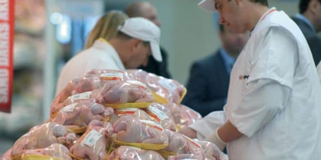 Ilustracija članka: Hrvatska je jedina država iz Europske unije koja nije glasala za izvoz piletine iz BiH