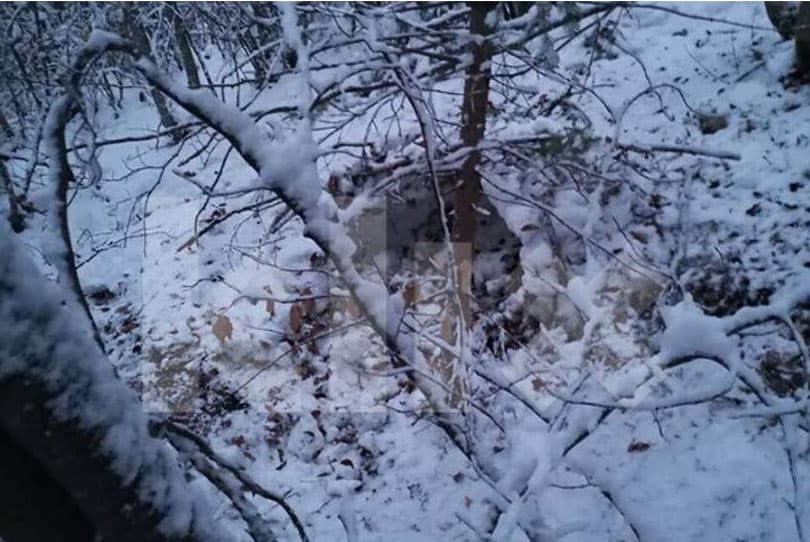 Ilustracija članka: Ovo je sklonište u kojem se Gačić krio prije nego što je ubijen