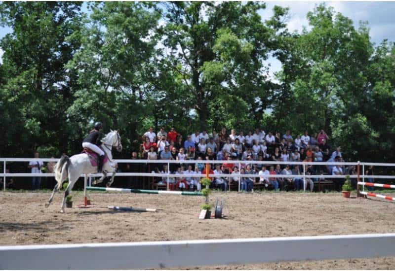 Ilustracija članka: Senzacija za posjetitelje konjičkog natjecanja u Grudama
