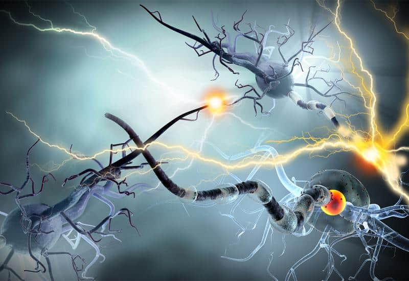 Ilustracija članka: BiH u visokoj zoni rizika oboljevanja od multipla skleroze