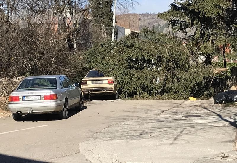 Ilustracija članka: ŽZH: Oštećene kuće i dvorana, vatrogasci uklanjali stabla s prometnica
