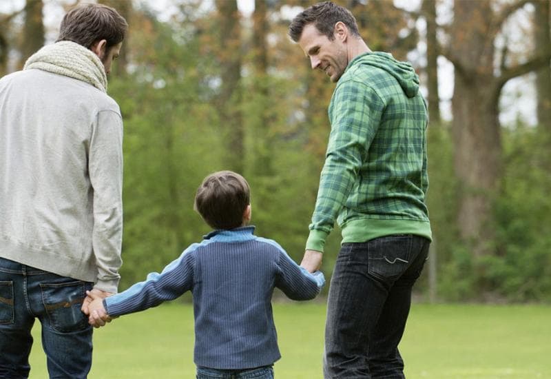 Ilustracija članka: Hrvatska: Istospolni partneri imaju pravo biti udomitelji