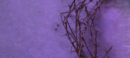 Ilustracija članka: Otkazane korizmene tribine, samo će se održati humanitarna korizmena akcija za djecu u Majčinu selu!