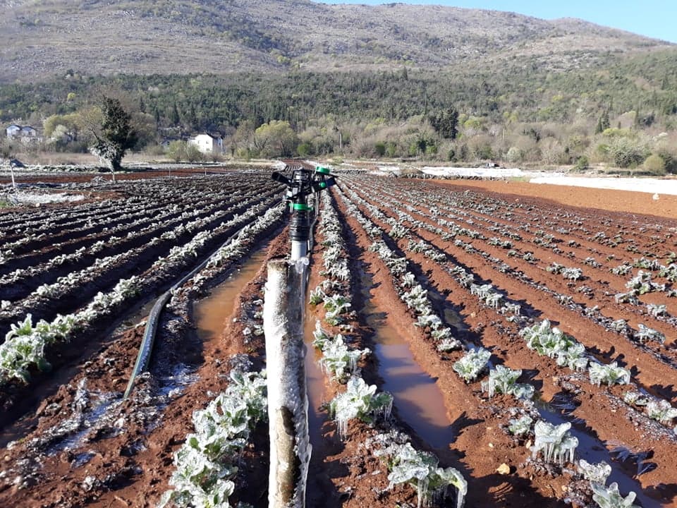 Ilustracija članka: VIDEO: U Ljubuškom velika šteta u poljoprivredi