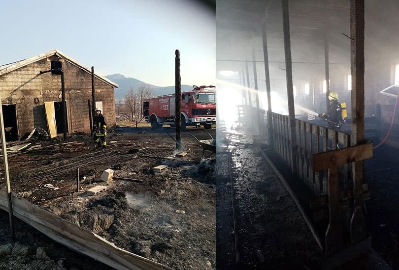 Ilustracija članka: Tomislavgrad: U požaru izgorjela farma, stradalo skoro 60 životinja