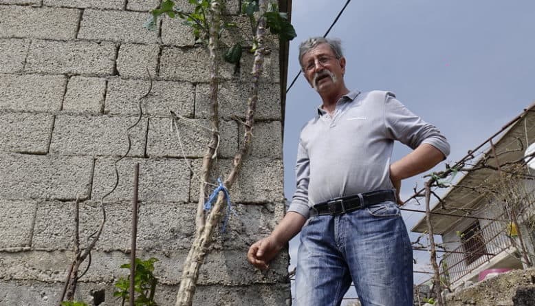 Ilustracija članka: Raštika rekorderka iz Zagvozda