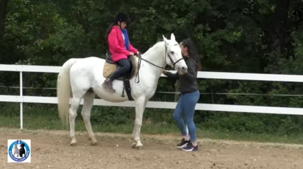 Ilustracija članka: VIDEO: Misija konjičkog kluba “Stina” iz Gruda je čovjekoljublje