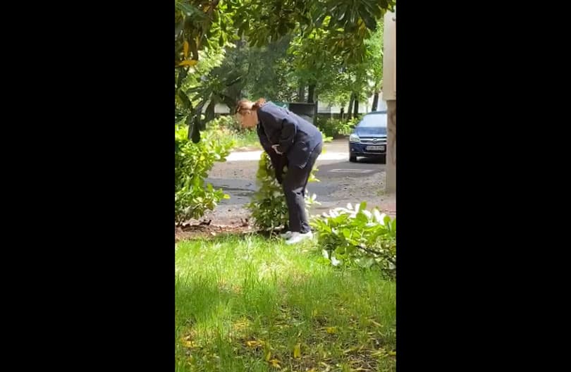 Ilustracija članka: Druga strana priče: Mostarka otkrila što stoji iza videa na kojem ‘čupa’ sadnice