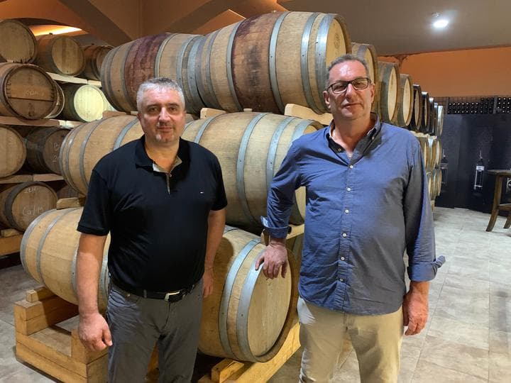 Ilustracija članka: Vinari i vinogradari Hercegovine traže da se privremeno zabrani uvoz makedonskog grožđa