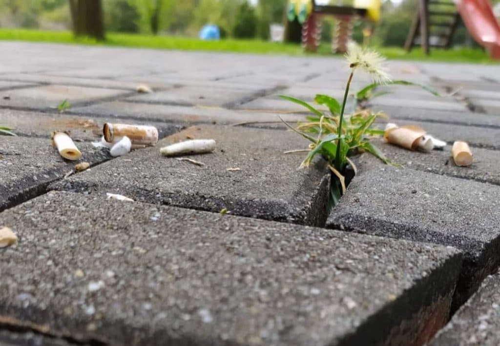 Ilustracija članka: Udruga mladih Agape skupljanjem opušaka obilježila Svjetski dan čišćenja