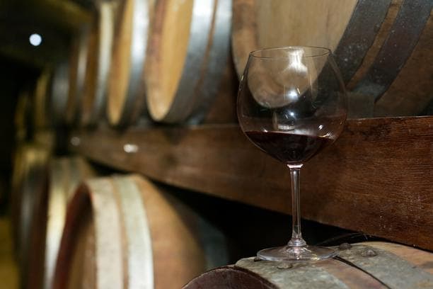 Ilustracija članka: Pandemija utjecala i na vinare: Podrumi puni neprodanog vina, za novo nema mjesta