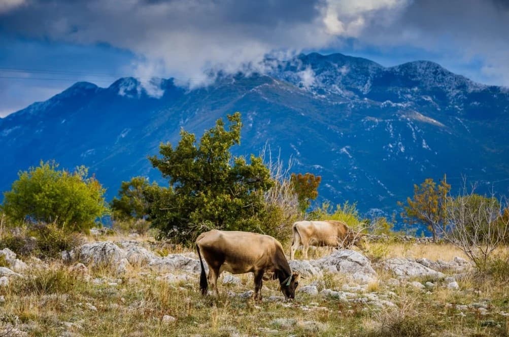 Ilustracija članka: Dio svjetske baštine: Imotski biseri i Biokovo korak su bliže statusu UNESCO-ova geoparka