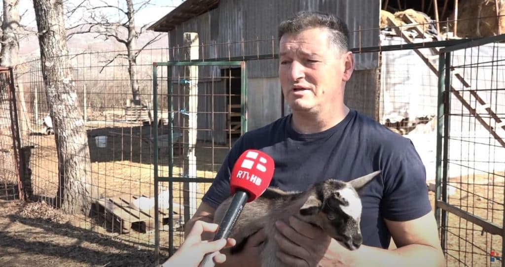 Ilustracija članka: VIDEO: Na farmi koza ”Majane” u Grudama cvjeta posao
