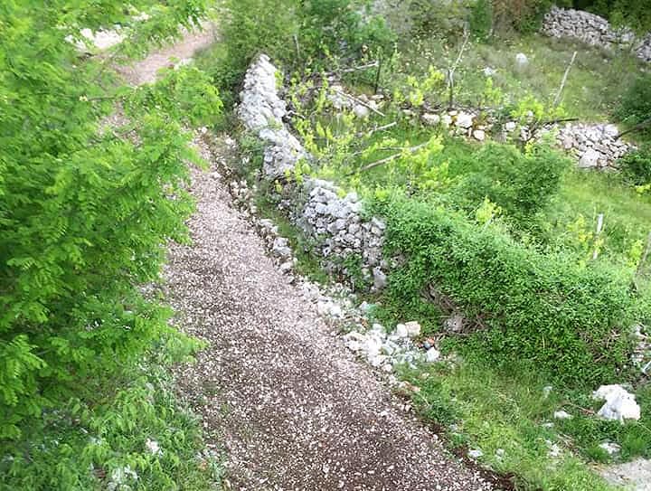 Ilustracija članka: Spojeni Arambašići i Milići na Drinovačkom brdu