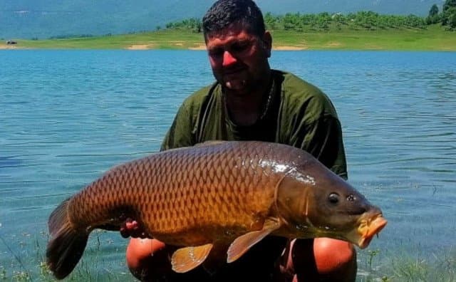 Ilustracija članka: KAKAV ULOV Gruđanin na Ramskom jezeru ulovio šarana od 17,5 kilograma