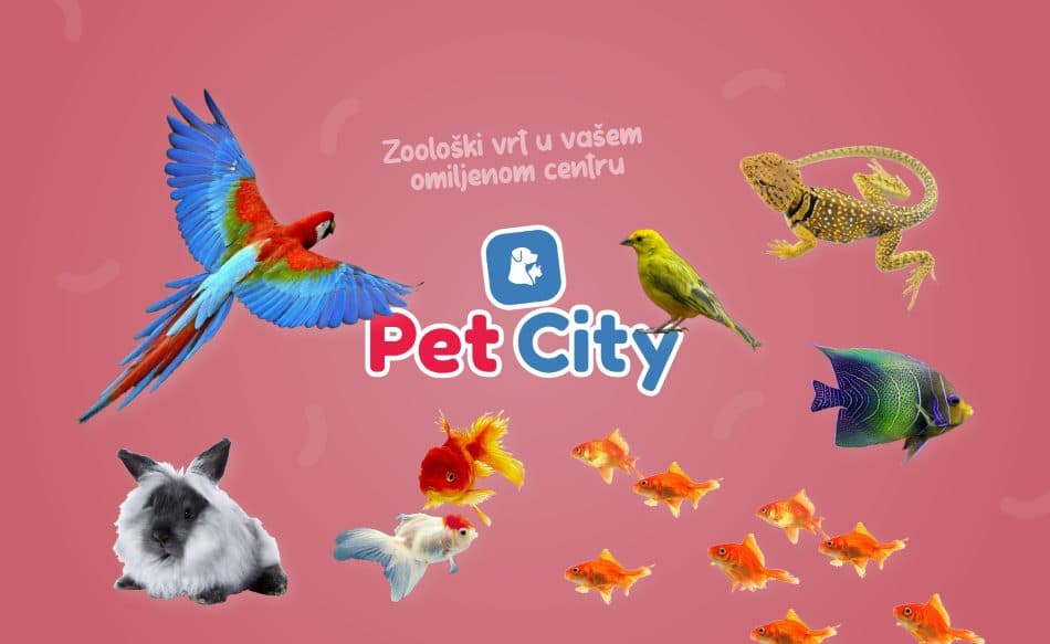 Sve je spremno za otvorenje najmodernijeg PET SHOPA u Hercegovini!