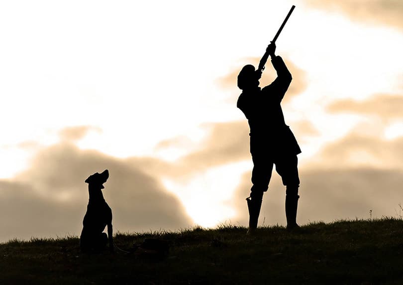 Ilustracija članka: Kinološko-lovni kup u Grudama