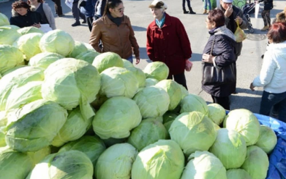Ilustracija članka: Cijena kupusa u Hercegovini obara rekorde