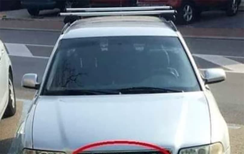 Ilustracija članka: Fotografija Audija iz Imotskog osvojila internet