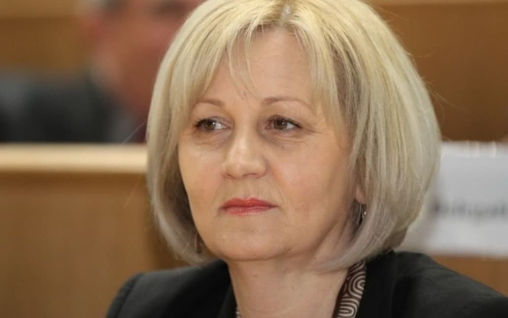 Ilustracija članka: Borjana Krišto: Trenutno u BiH nema važnijeg pitanja od promjene Izbornog zakona