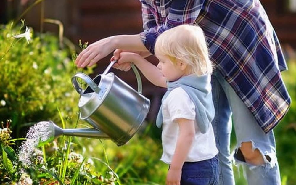 Ilustracija članka: Radi normalnijeg života Njemačku, i to Nijemci, zamijenili Hercegovinom