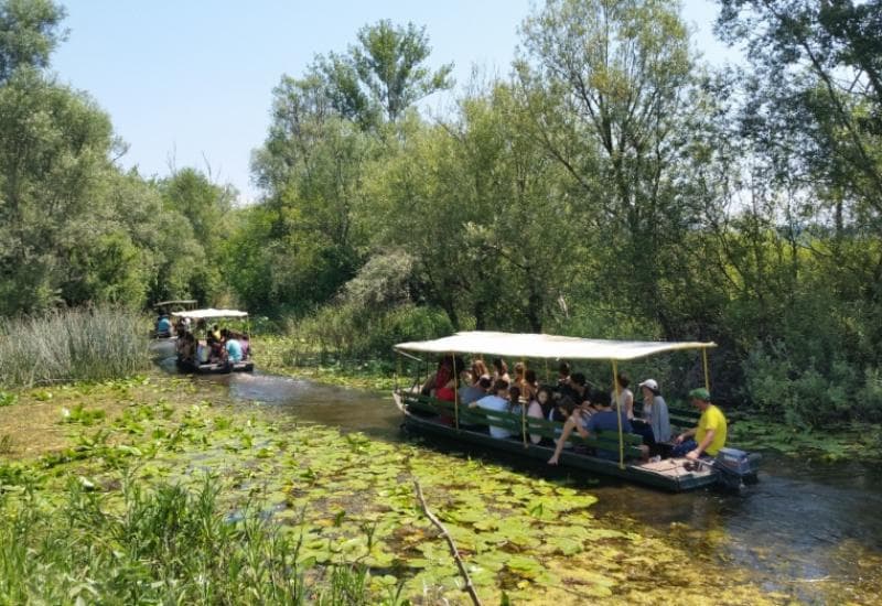 Ilustracija članka: Na Hutovu blatu uskoro električne brodice