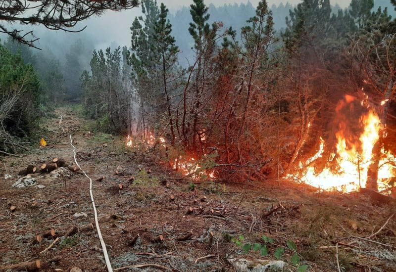 Ilustracija članka: Blidinje: Vatra se spušta prema vikendicama, neophodna pomoć iz zraka