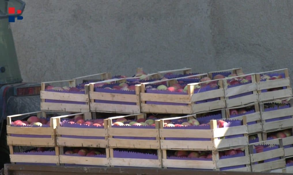 Ilustracija članka: VIDEO: Domaću proizvodnju guši prekomjeran uvoz