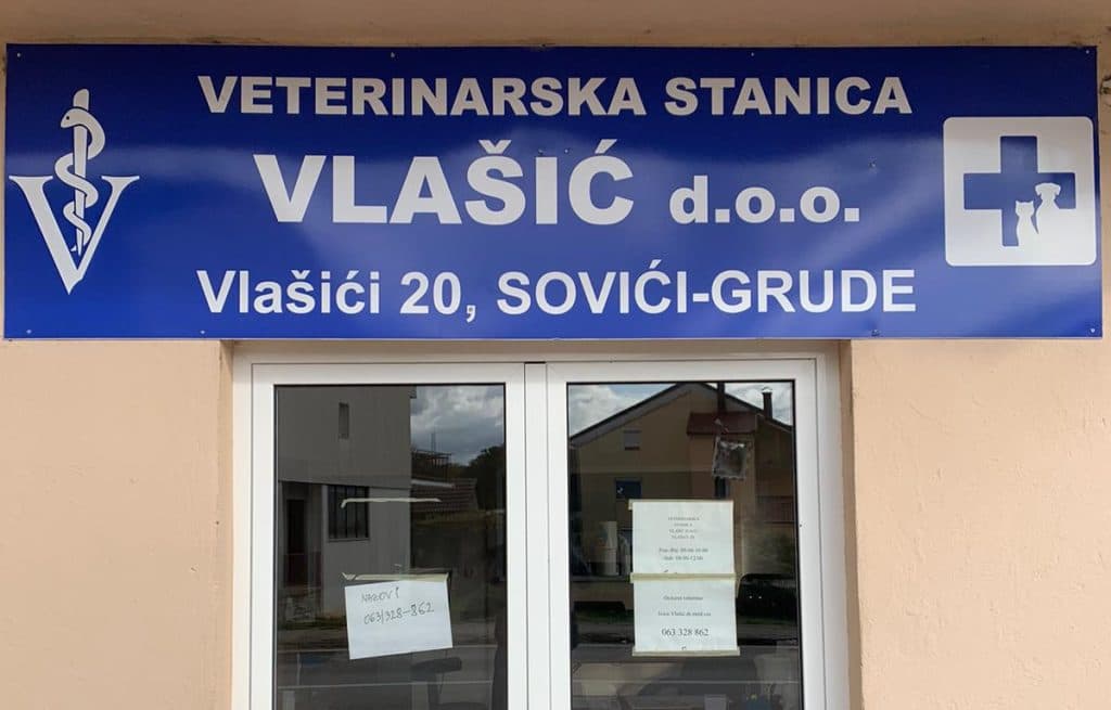 Ilustracija članka: VS Vlašić: Evo kako na pravilan način uzeti uzorak svinje
