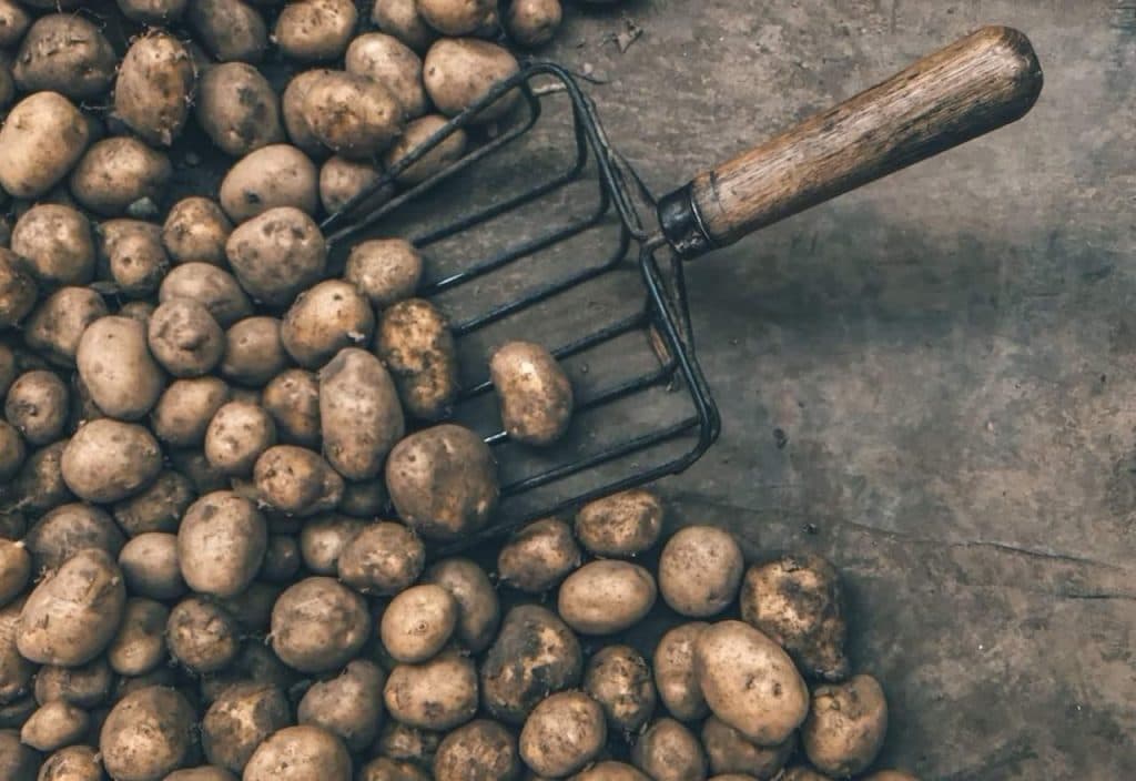 Ilustracija članka: Oglasila se mostarska tvrtka zbog kadmija u krumpirima