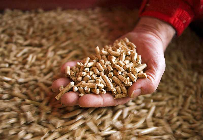 Ilustracija članka: Hoće li pelet pojeftiniti do ljeta?