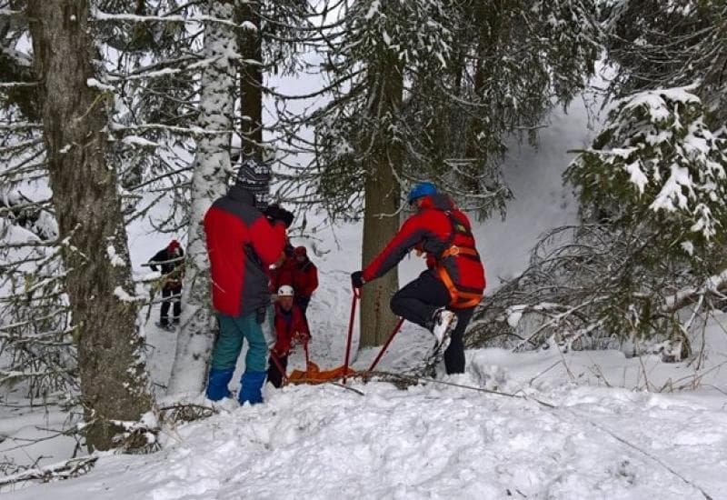 Ilustracija članka: Već drugi dan traje potraga za djevojčicom: Spasioce napao medvjed