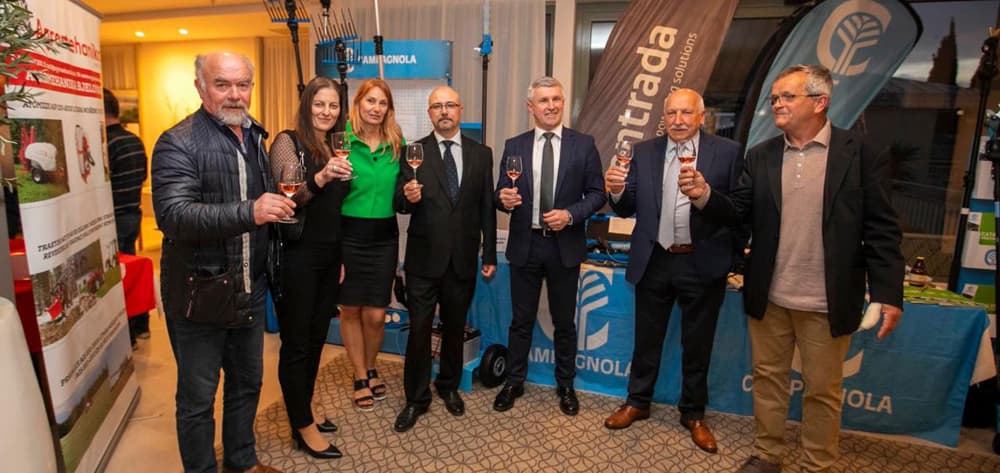 Ilustracija članka: Proglašena najbolja maslinova ulja: 5 zlatnih medalja za Hercegovinu