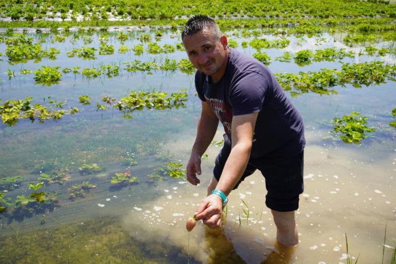 Ilustracija članka: Imoćanin u trenu ostao bez više od 30 tisuća eura: ‘Očajan sam, čudna pojava mi je sve odnijela, a rješenje postoji‘