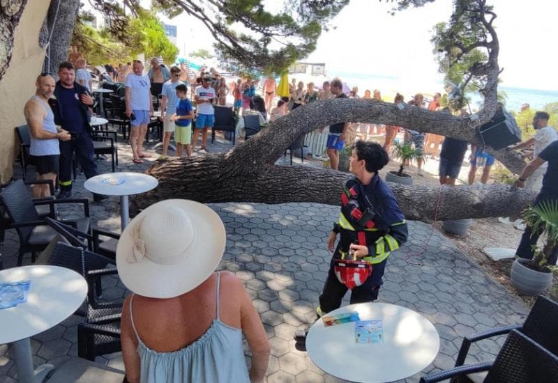 Ilustracija članka: Baška Voda: Četvero ljudi ozlijeđeno na plaži kada je na njih palo stablo