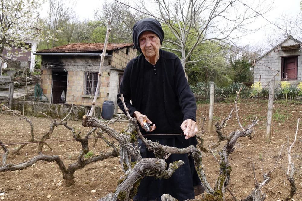 Ilustracija članka: Najstarija osoba u Hrvatskoj: Baka Mara iz Imotskog napunila 109 godina