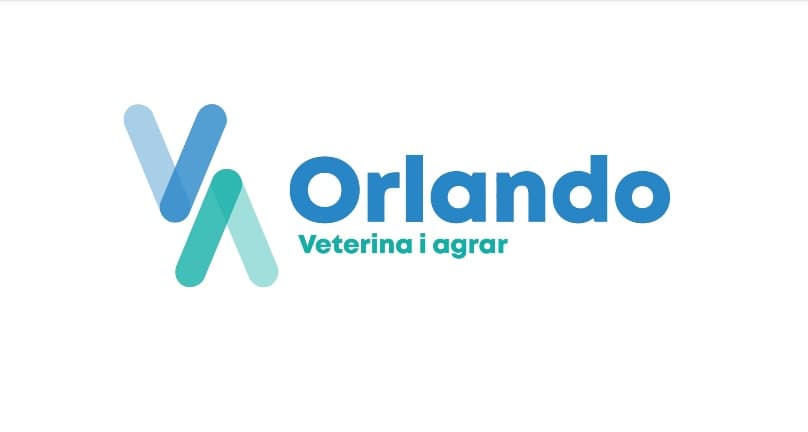 Ilustracija članka: Orlando d.o.o. Grude raspisao natječaj za voditelja računovodstva