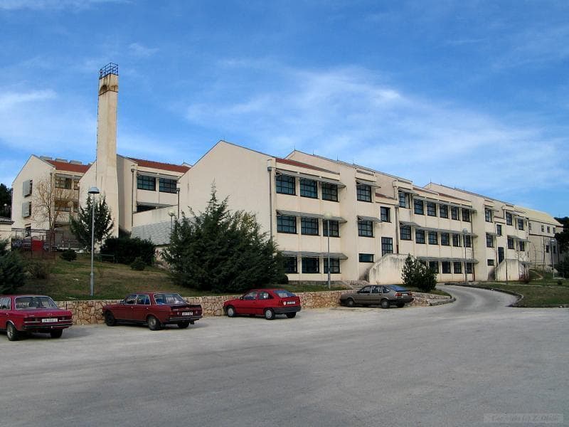 Ilustracija članka: Učenik koji je ubio mačku u Imotskom izbačen iz škole