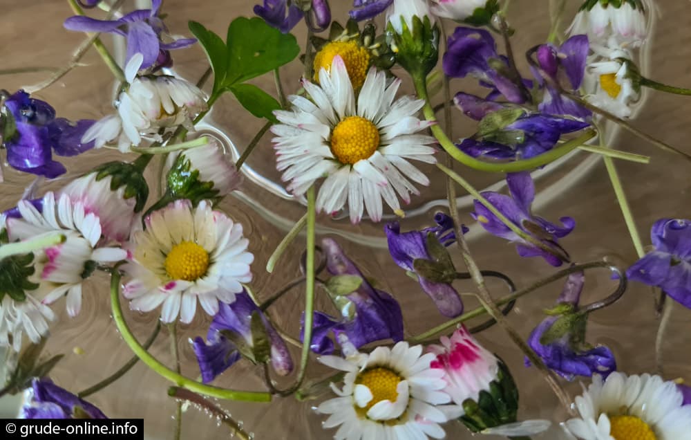 Ilustracija članka: Cvjetna je nedjelja – početak Velikog tjedna koji nam daje nadu