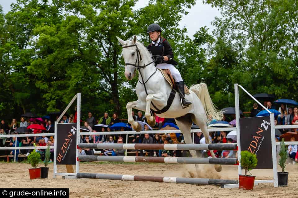 Ilustracija članka: Konjički spektakl: Natjecanje u preskakanju prepona u Sovićima