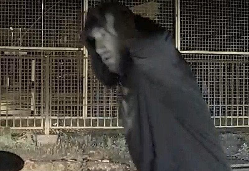 Ilustracija članka: Krezić objavio imena napadača, traži se i treća osoba