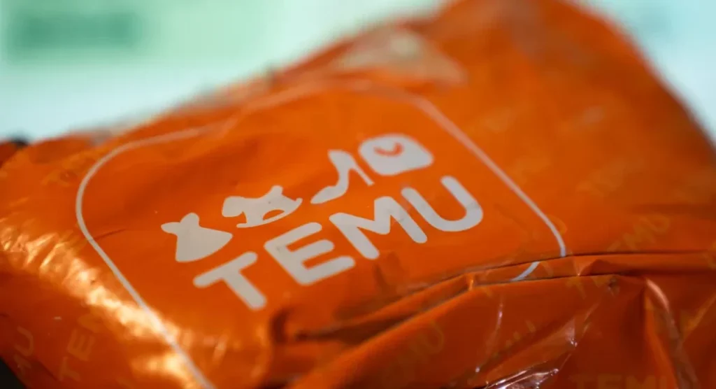 Ilustracija članka: Temu u BiH: Lavina pošiljki zatrpala dostavljače – najviše pošiljki stiglo u jedan hercegovački grad