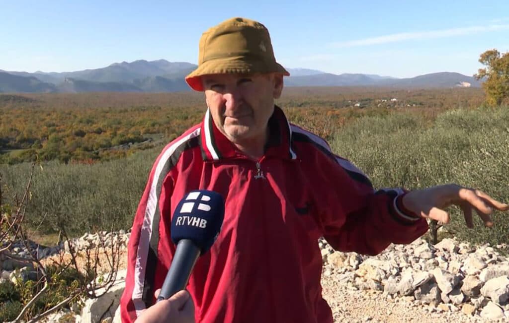 Ilustracija članka: Maslinar Drago Čolak ručno probija put oko maslinika