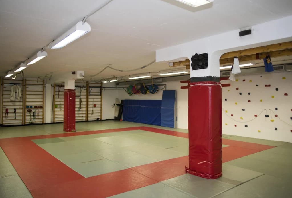 Ilustracija članka: Hrvatski viceprvak u judu Ivan Bezić (16) bori se za život. Njegov otac: ‘Pomolite se za njega…‘