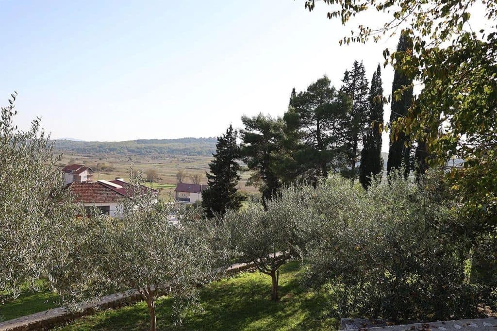 Ilustracija članka: Šest medalja za Hercegovačke maslinare na svjetskom natjecanju