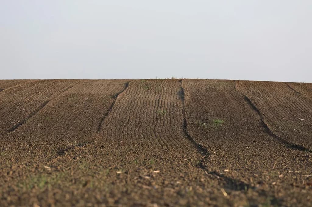 Ilustracija članka: Kriza u poljoprivredi: Ekstremna suša i niske otkupne cijene prijete nestašici hrane u BiH