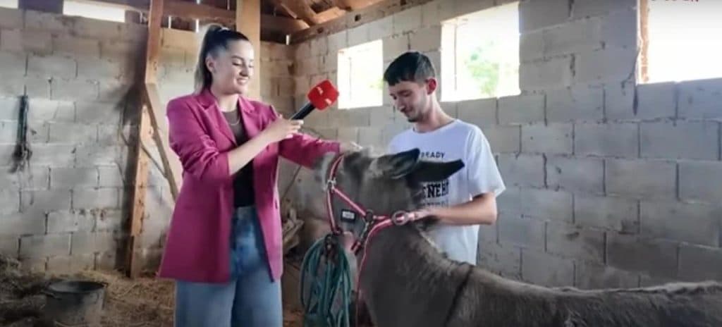 Ilustracija članka: VIDEO: 18-godišnji mladić iz Rasna vodi vlastitu farmu