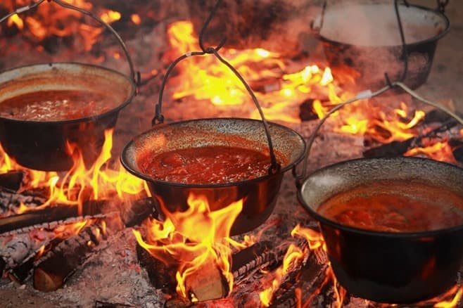 Ilustracija članka: Ledinac: Prvo natjecanje u kuhanju čobanca