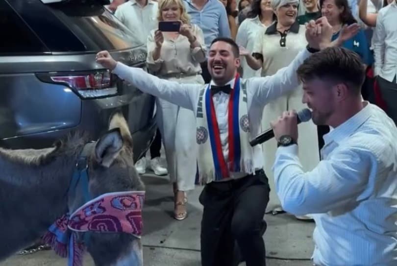 Ilustracija članka: Svadbena proslava u Hercegovini u znaku Hajduka: Kum doveo magarca